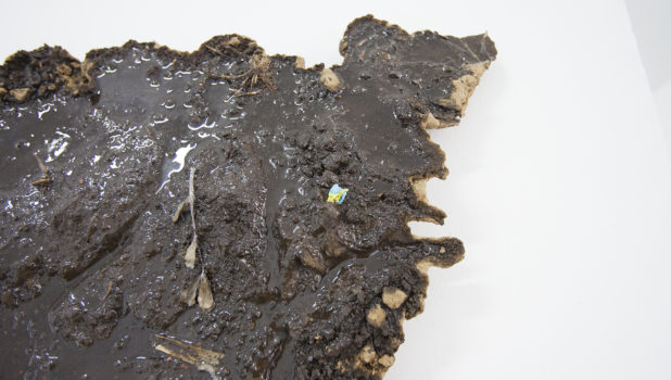 8web